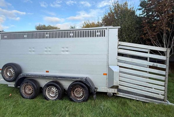 Cheshire Trailers | Horsebox Trailer Hire, Sales, Service, and Repairs | Houghton Livestock trailer ramp and sides down